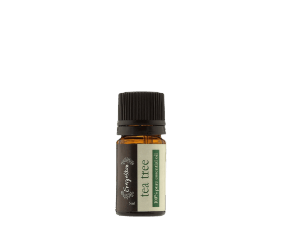 etherische olie tea tree