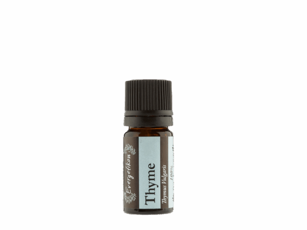 etherische-olie-thyme