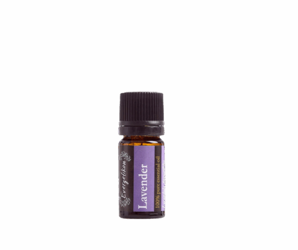 etherische olie lavendel evergetikon