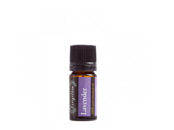 Lavendel etherische olie Evergetikon 5ml 100% puur
