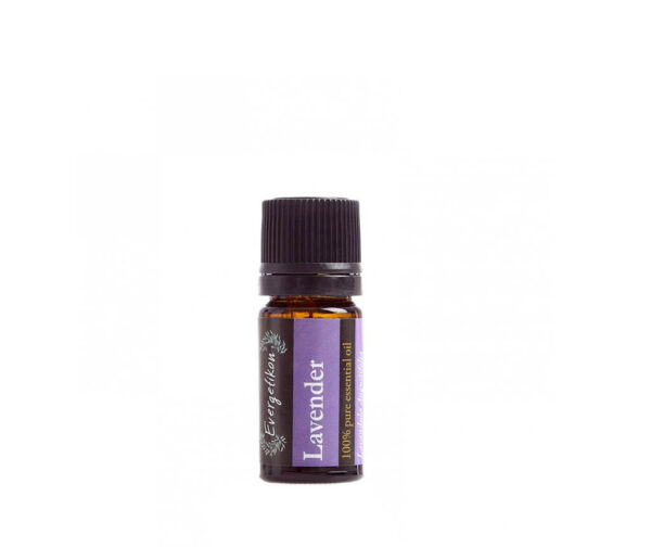 Lavendel etherische olie Evergetikon 5ml 100% puur